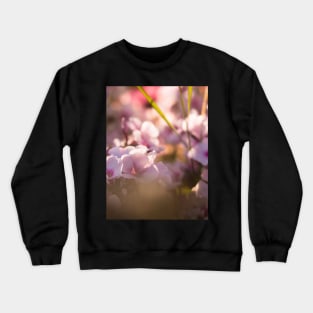 Garden Dreams Crewneck Sweatshirt